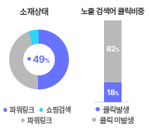 소재/검색어 진단
